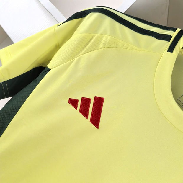 Wales 2024 Away Kit