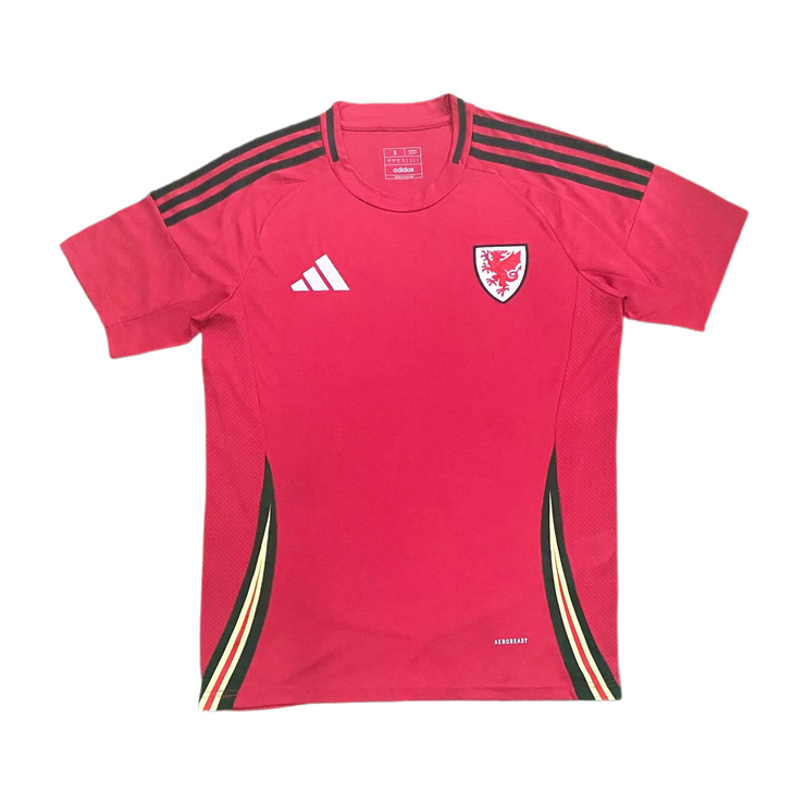 Wales Euro Home kit 24/25