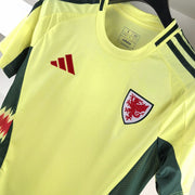 Wales 2024 Away Kit