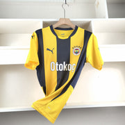 Fenerbahce 2024-2025 Home Kit