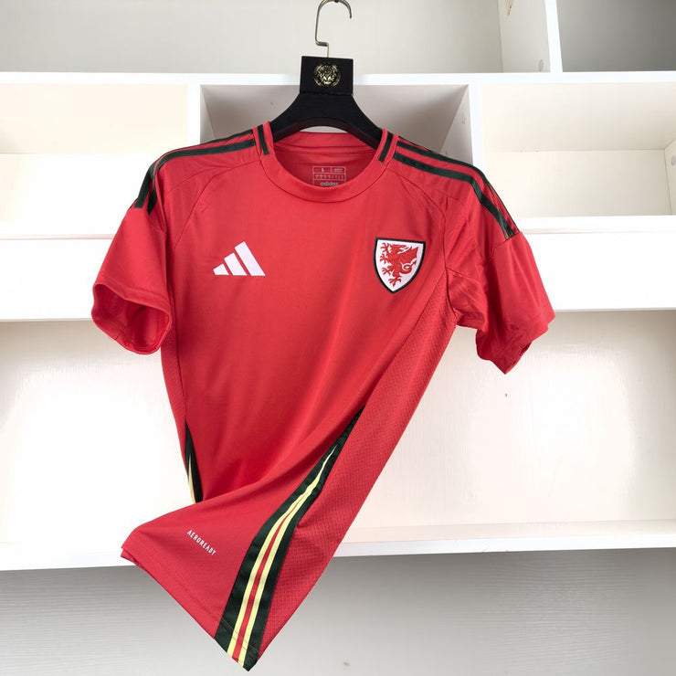 Wales 2024 Home Kit