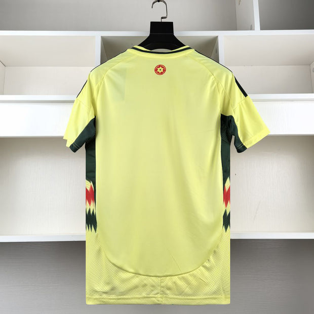 Wales 2024 Away Kit