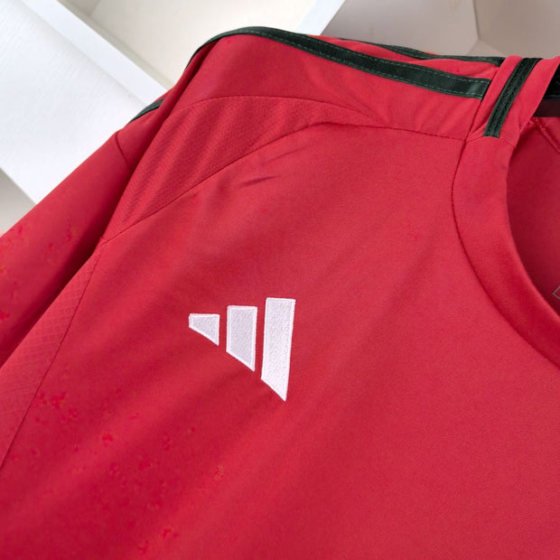 Wales 2024 Home Kit