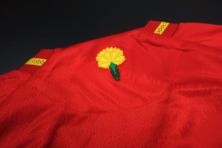 24/25 Spain home kit Player version (EURO 2024)